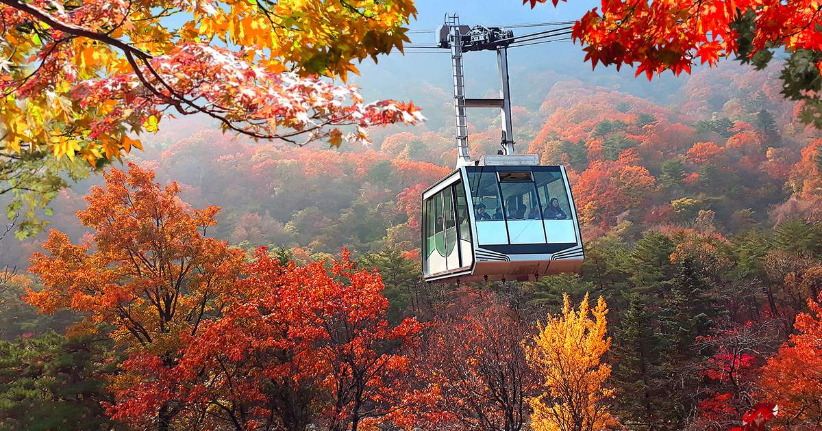 núi seoraksan mùa thu - hoàng việt travel