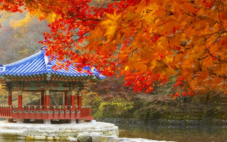 Công viên quốc gia Naejangsan mùa thu - hoàng việt travel