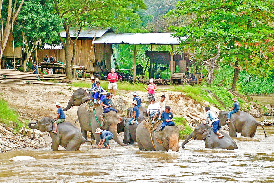 Khu bảo tồn voi Maetaeng - Maetaeng Elephant Park