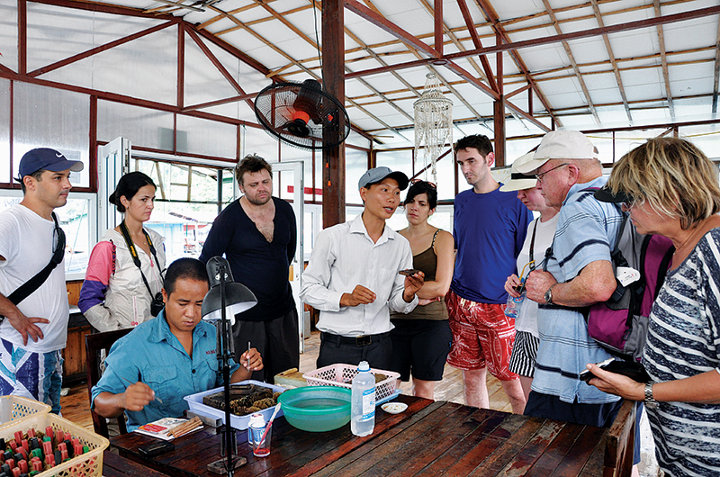 Ngọc trai Hạ Long trong lòng di sản - Báo Quảng Ninh điện tử