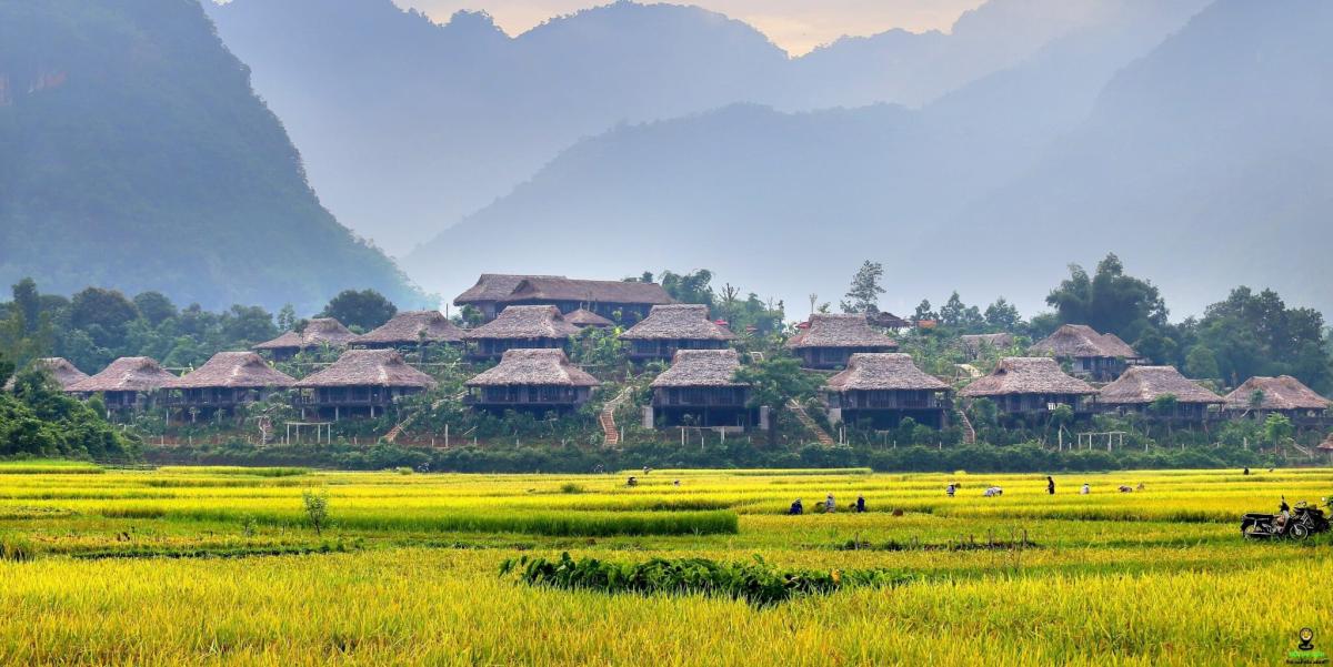 Du lịch bản lác Mai Châu cho tâm hồn khoáng đạt | Nơi chia sẻ kinh nghiệm  du lịch