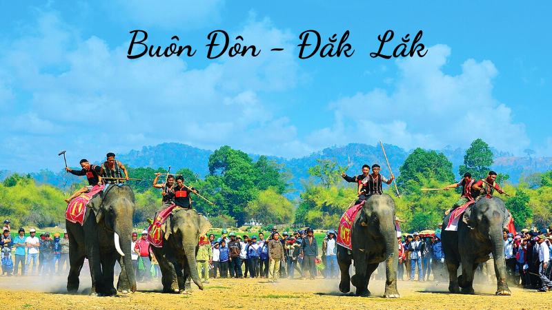 Du lịch Buôn Đôn nhà của “chú voi ở Bản Đôn” trong huyền thoại Nguyễn Hồng  Duyên 7 giờ trước - Mobitool