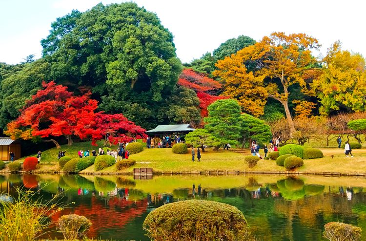 Công viên Shinjuku Gyoen mùa thu