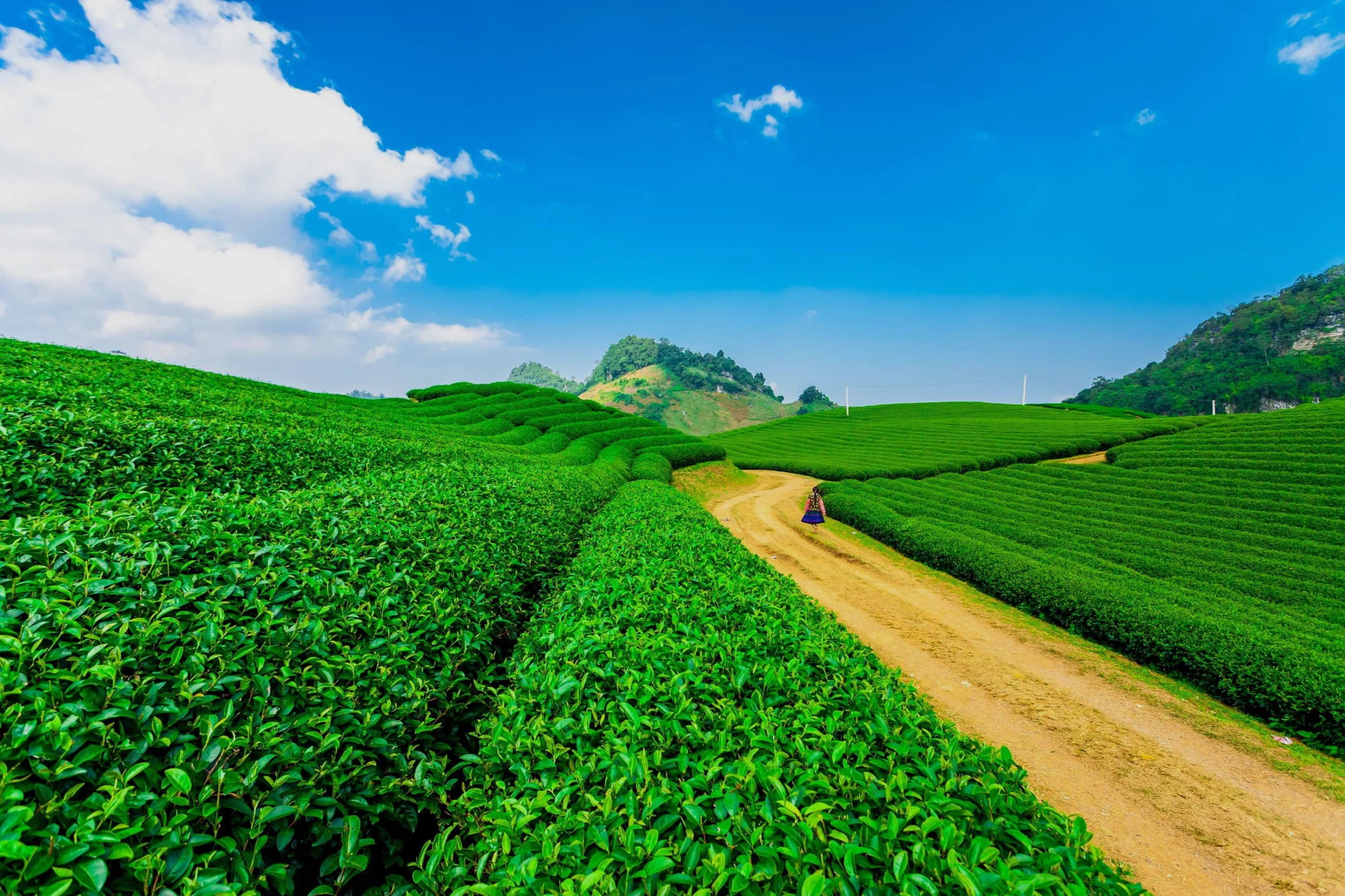 20 Homestay và Căn hộ hàng đầu tại Mộc Châu huyện | 