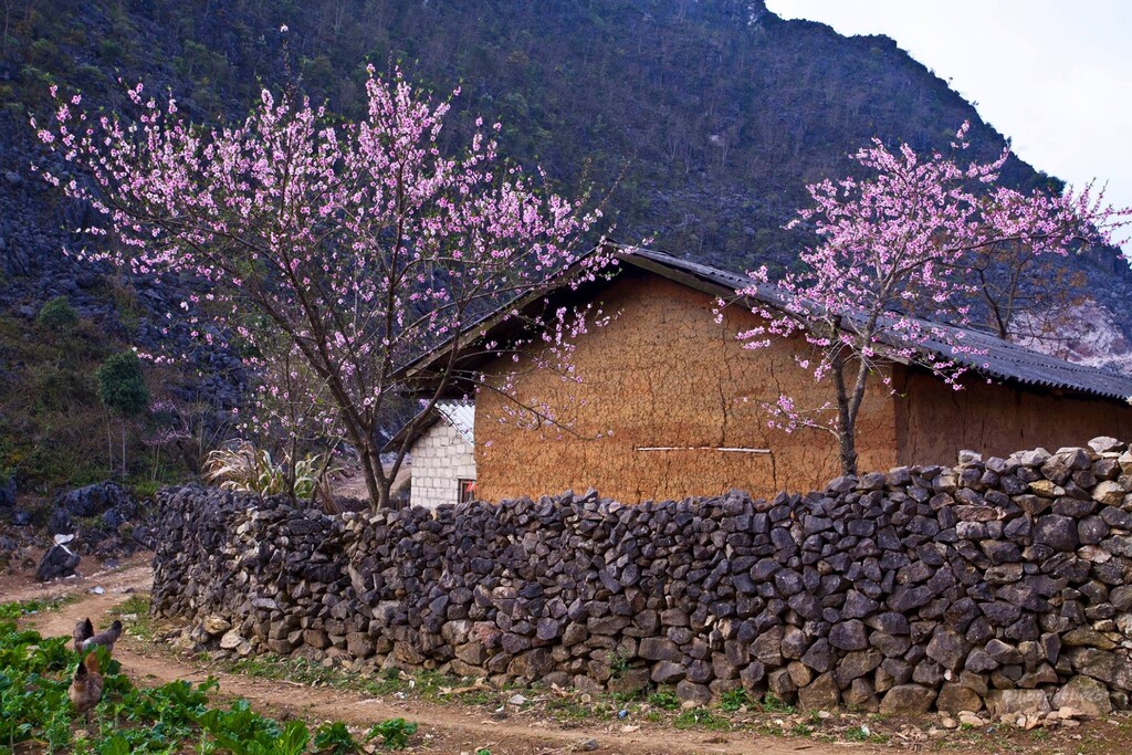 Phố Cáo Hà Giang – Chiêm ngưỡng nét đẹp hoang sơ của xứ Đồng Văn