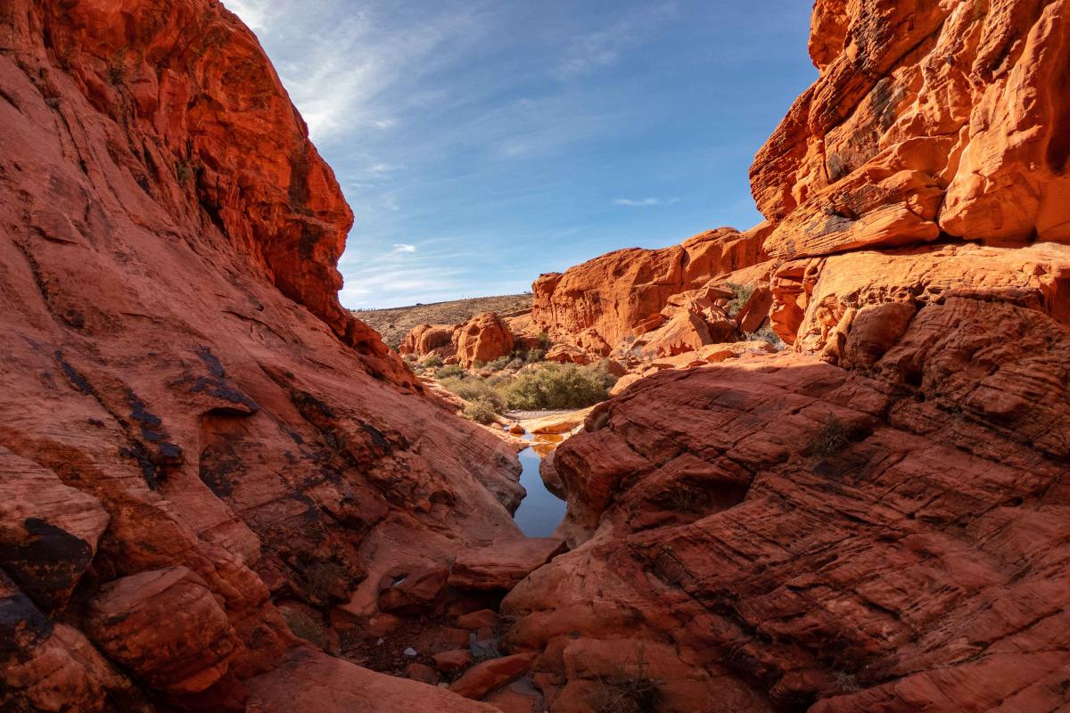 Red Rock Canyon 