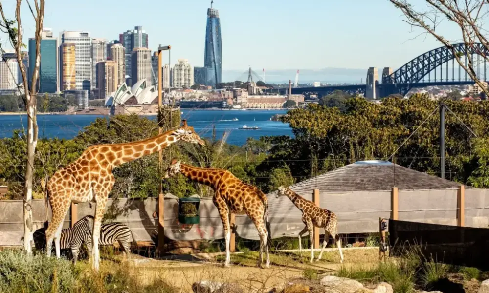 Taronga Zoo, Sydney