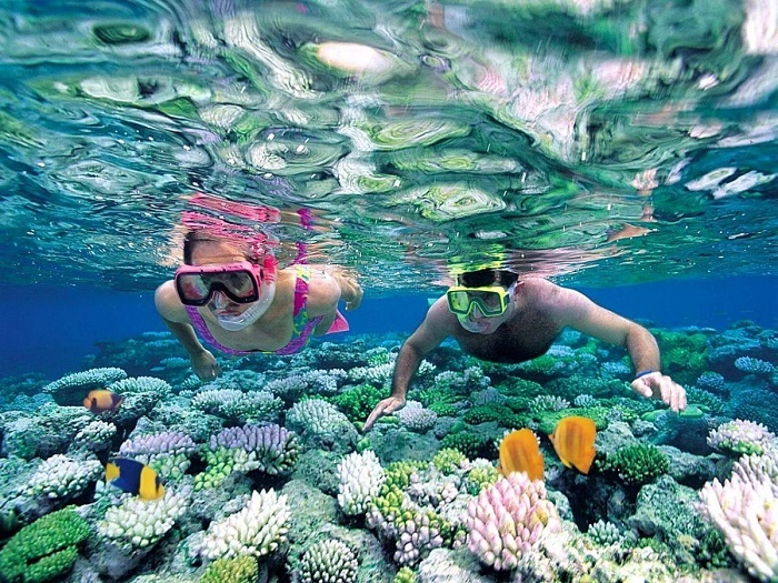 Lặn biển ngắm san hô Hòn Mun Nha Trang