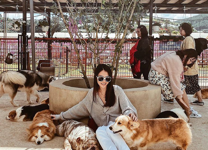 Review nông trại cún Puppy Farm Đà Lạt - Cập nhật giá vé năm 2022