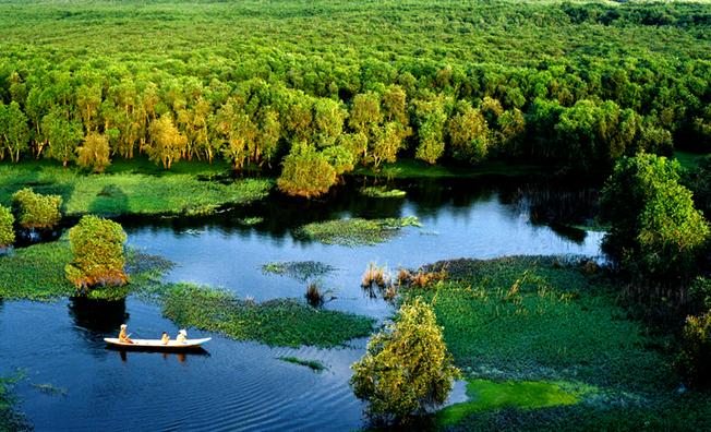Chia sẻ" kinh nghiệm du lịch rừng tràm Trà Sư mùa nước nổi miền Tây