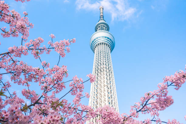Tháp Tokyo Sky Tree Nhật Bản