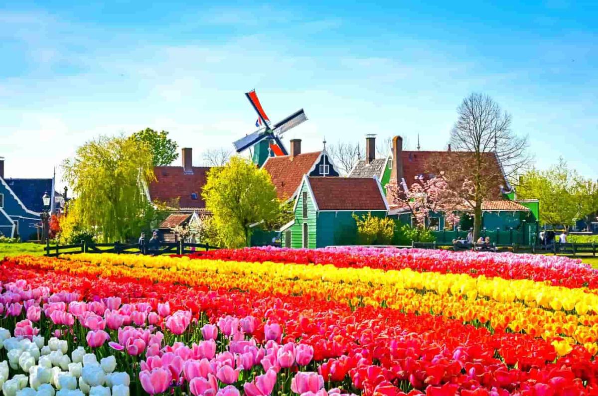 Du lịch Châu Âu - Ngôi làng Zaanse Schans