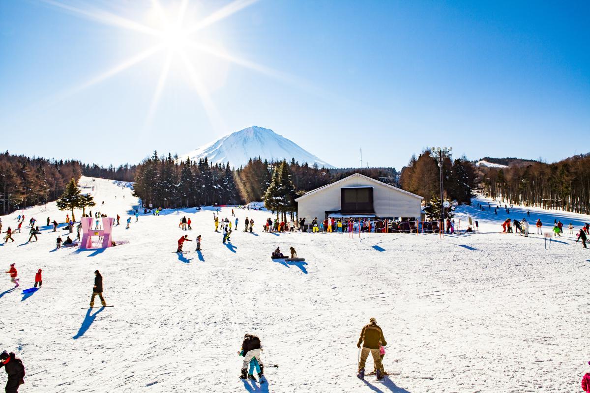 Khu trượt tuyết Yangji Pine - Yangji Pine Resort Ski Valley