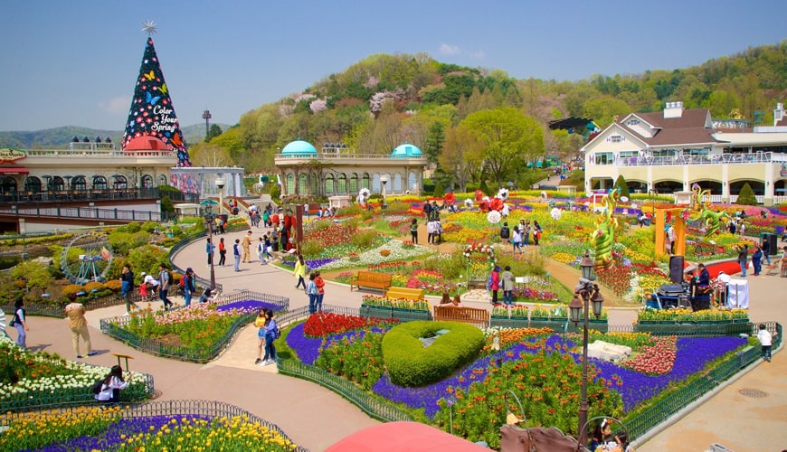Kinh nghiệm đi Lotte World Seoul Hàn Quốc