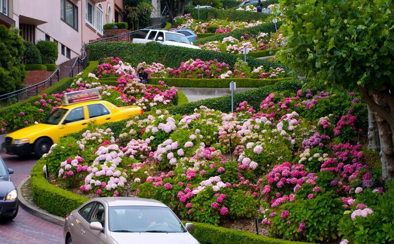 Đường Hoa Lombard