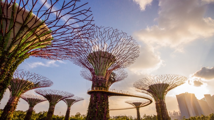 Kiến trúc tại Gardens by the Bay 