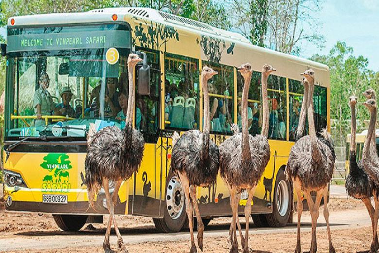 Vinpearl Safari Phú Quốc - Thiên đường thế giới động vật bán hoang dã lần  đầu tiên tại Việt Nam