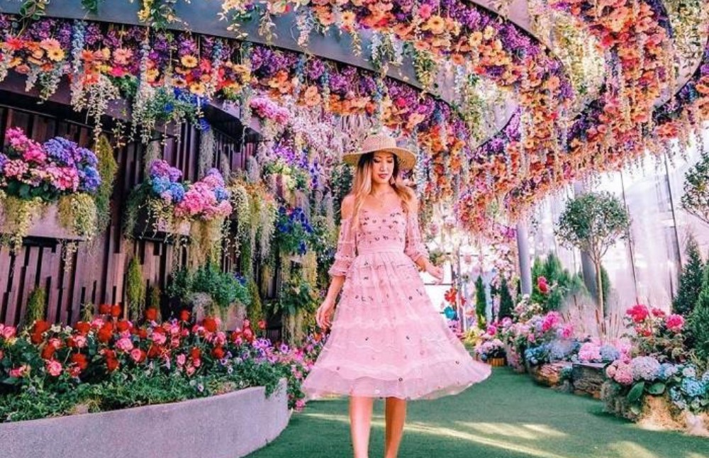 Vườn hoa treo Floral Fantasy