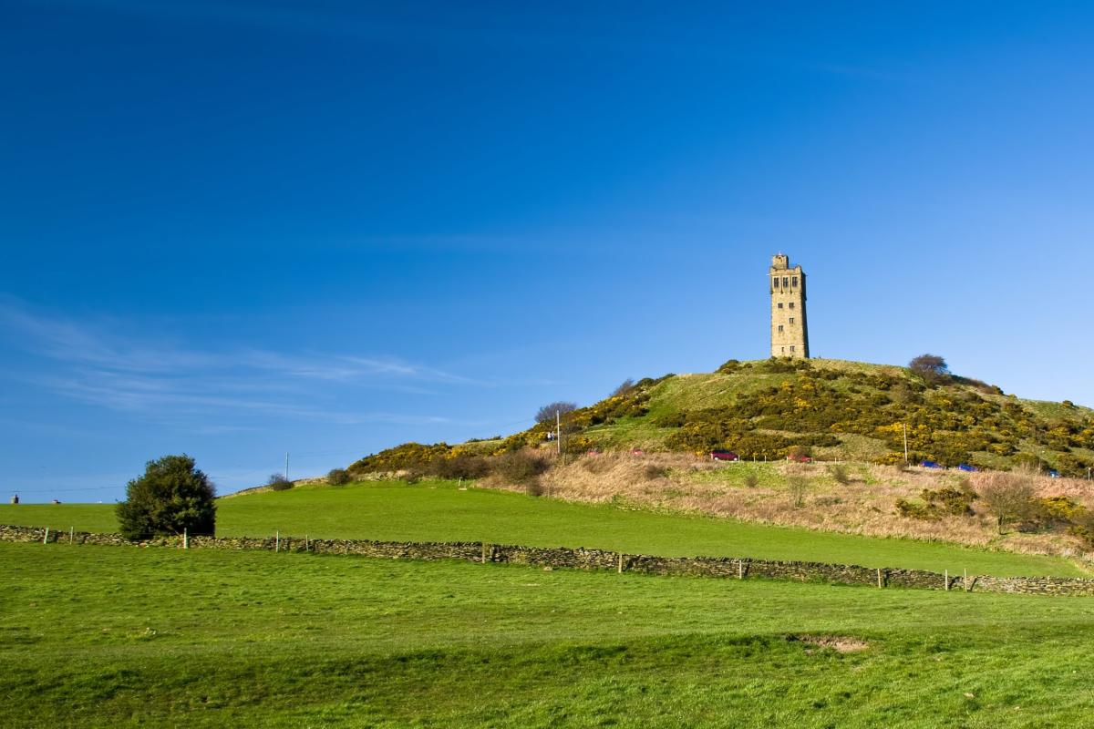 Castle Hill Field Guides | University of Canterbury