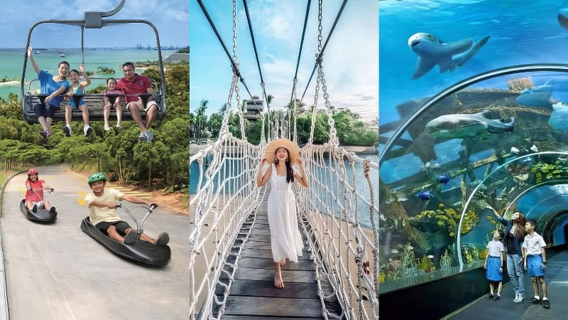 Một gia đình đang tận hưởng chuyến đi cáp treo ngắm cảnh, mọi người đang vui chơi trên đường trượt luge, một người phụ nữ đội mũ rộng vành trên cầu treo và trẻ em đang ngắm nhìn sinh vật biển trong đường hầm thủy cung.