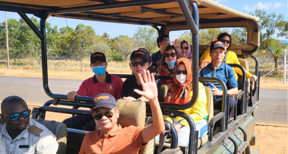 Top trải nghiệm du lịch nam phi đáng nhớ - hoàng việt travel