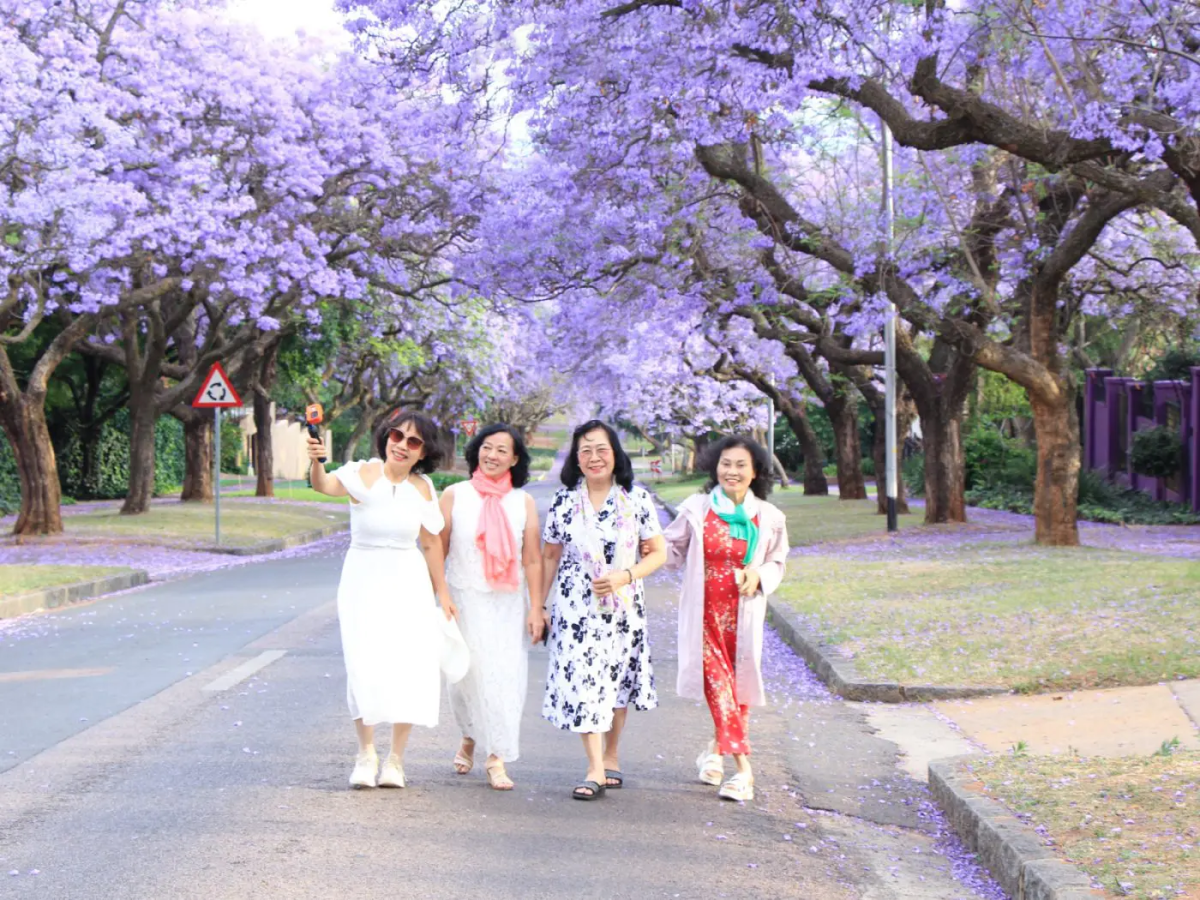 Trải nghiệm du lịch Nam Phi - Hoàng Việt Travel