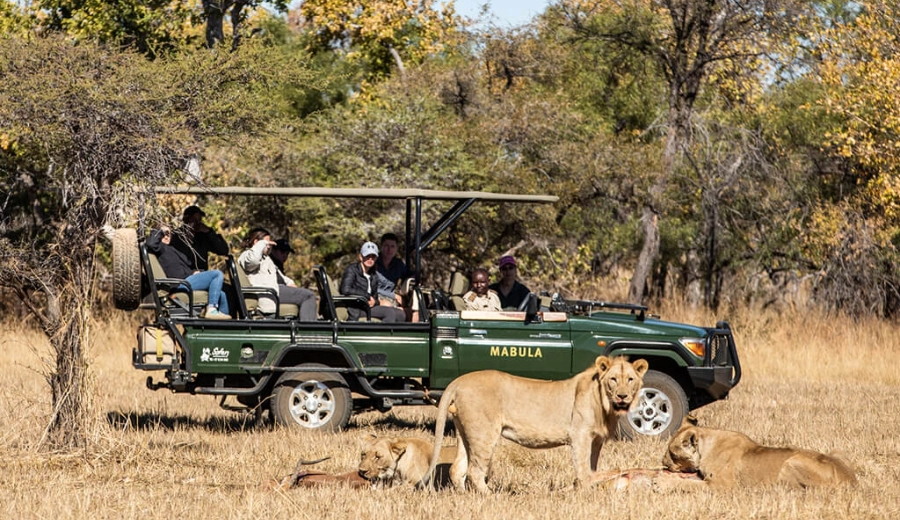 Chiêm ngưỡng Big Five Nam Phi - Hoàng Việt Travel